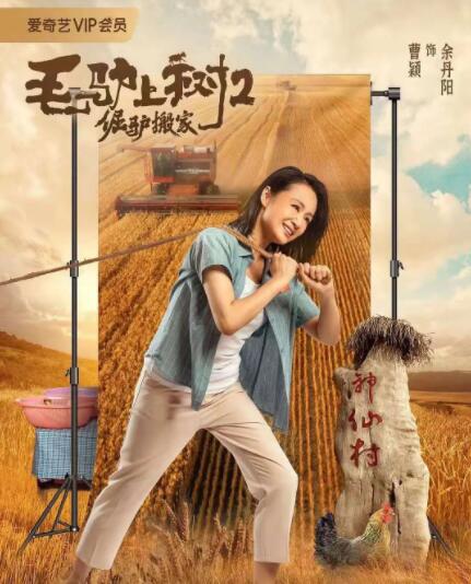 久久久欧美精品
